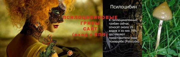 Альфа ПВП Новозыбков