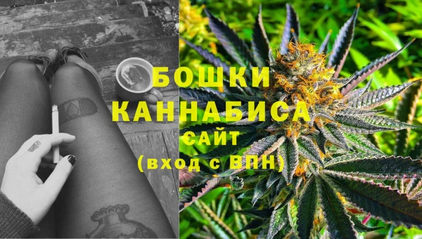 метадон Няндома