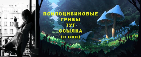 амф Нязепетровск