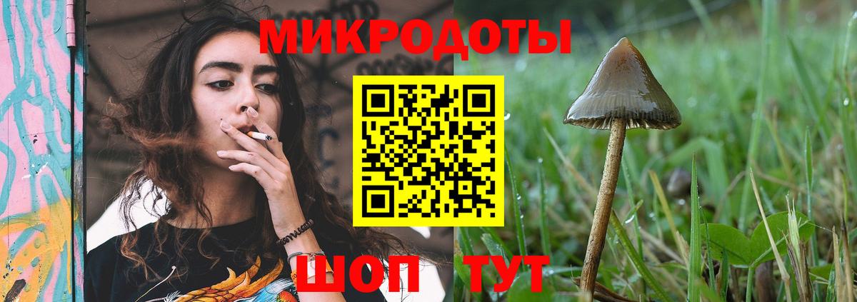 Сафоново  Псилоцибиновые грибы мухоморы  Вход с VPN 