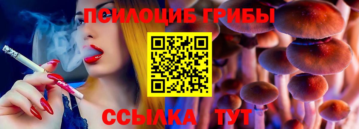 Галлюциногенные грибы прущие грибы Сафоново